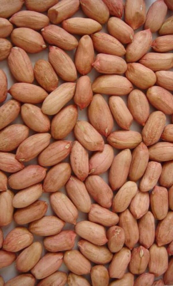 peanut size 9/7