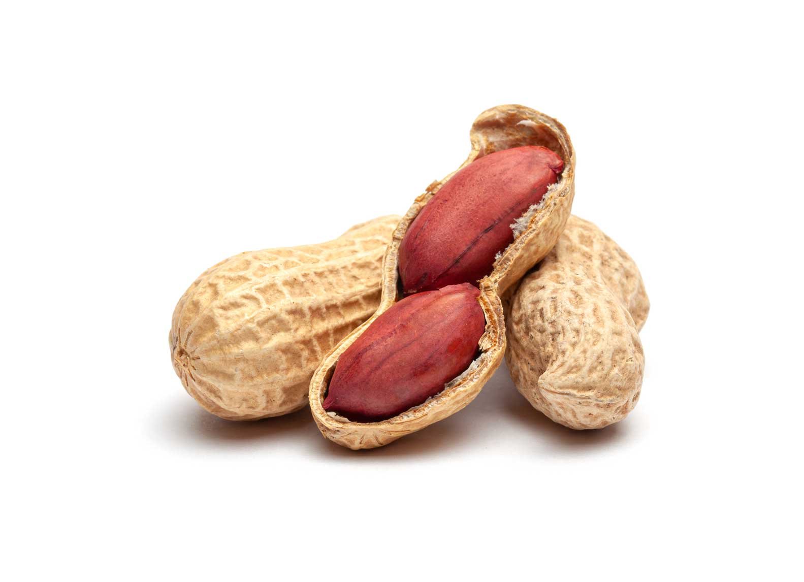 dried peanuts peel closeup isolated white background (1) dried peanuts peel closeup isolated white background (1)