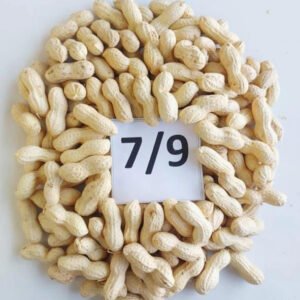 7 9