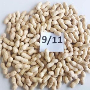 9 11