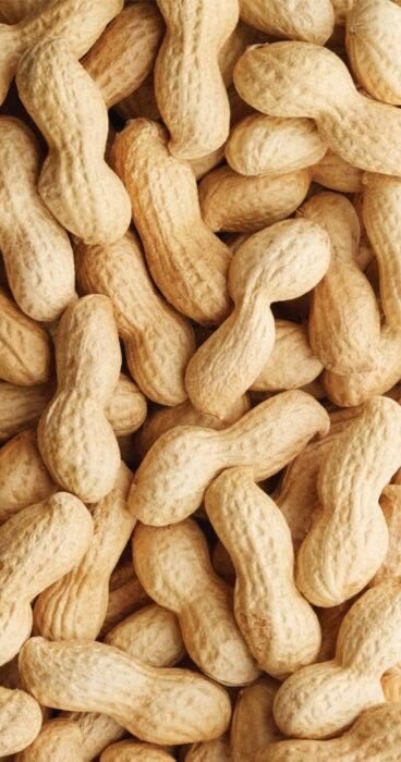 peanuts